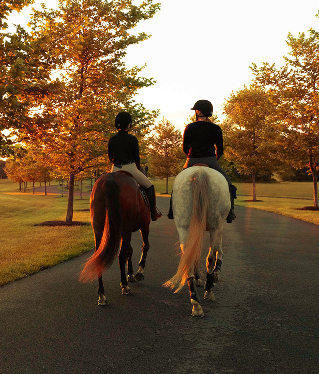 woman laughing outside my horse paddox