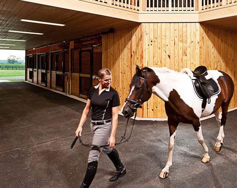 Overnight Stabling