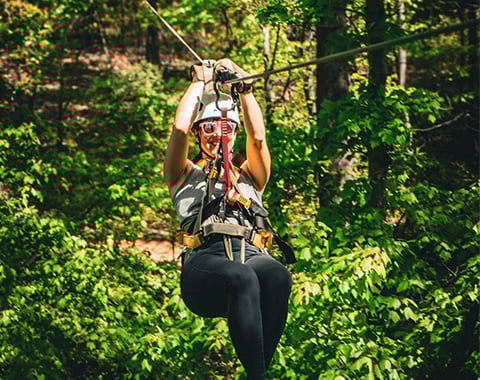 Tree Top Zip Tour