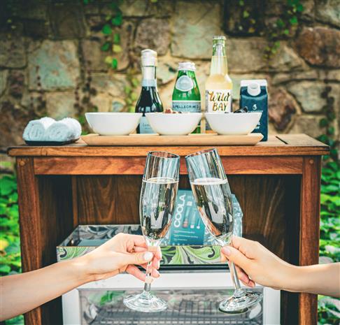 mini frig and guests toasting