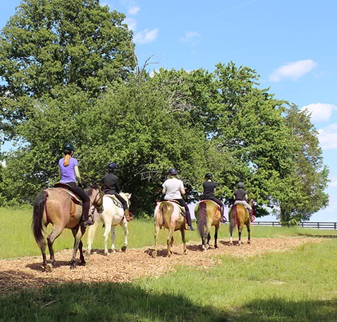 Group Trail Rides