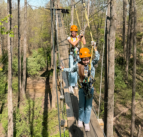 kids walk on the suspension bridge in the forest