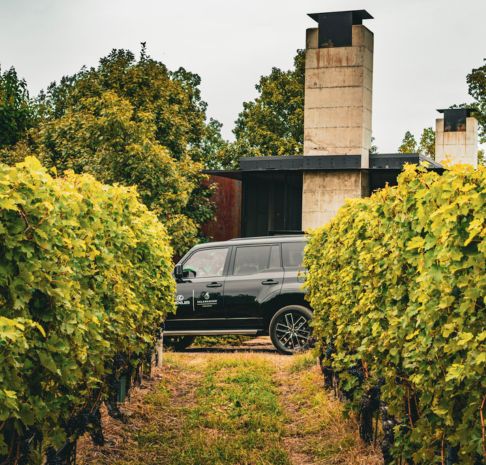 Apple & Pumpkin Picking