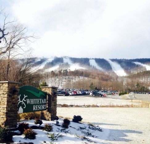 Whitetail Resort 