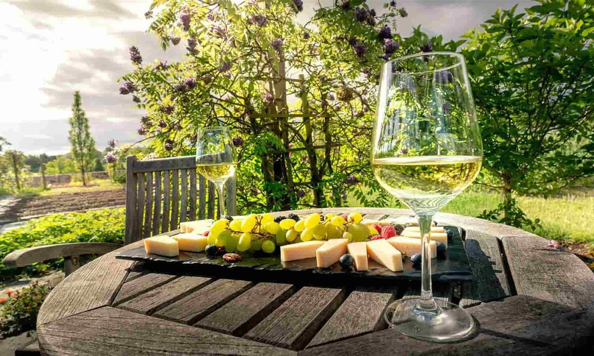 Wine and cheese plate outdoors