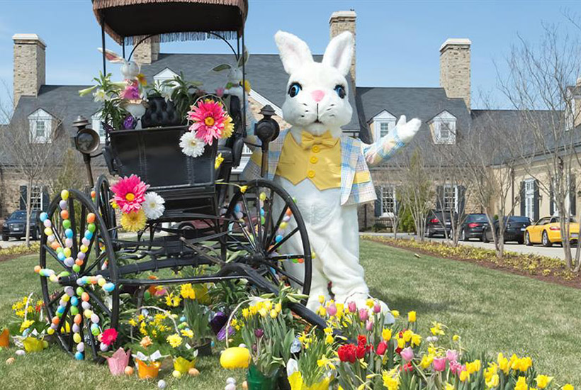 Easter Bunny Experience