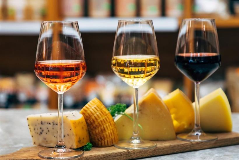 Salamander Uncorked: Classic Wines with Cheese Pairings