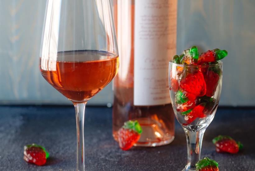 Salamander Uncorked: Wines Paired with Junk Food!
