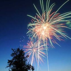 Colorful fireworks burst across a deep blue evening sky, illuminating the silhouette of a tree below during a festive nighttime celebration.