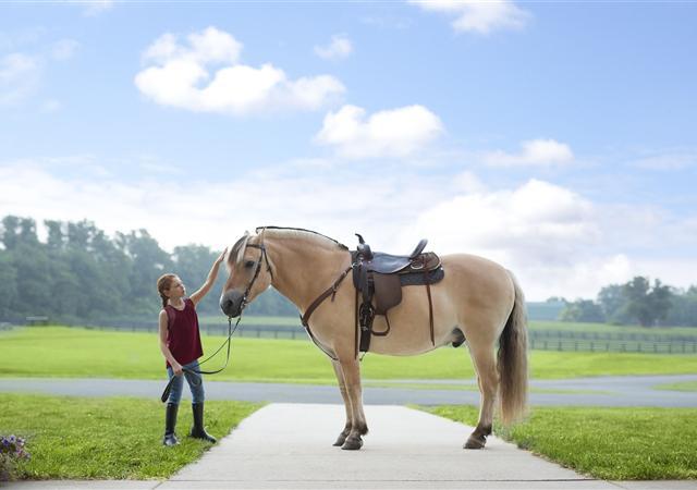 Complimentary Fourth Night