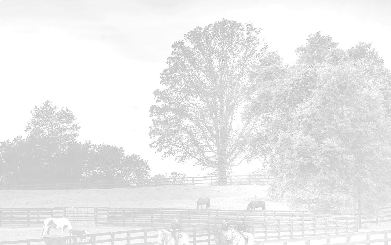 luxury-resort-accommodations-near-washington-dc-salamander-middleburg