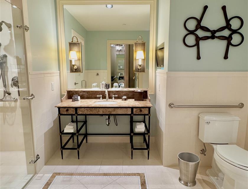 ADA bathroom toilet