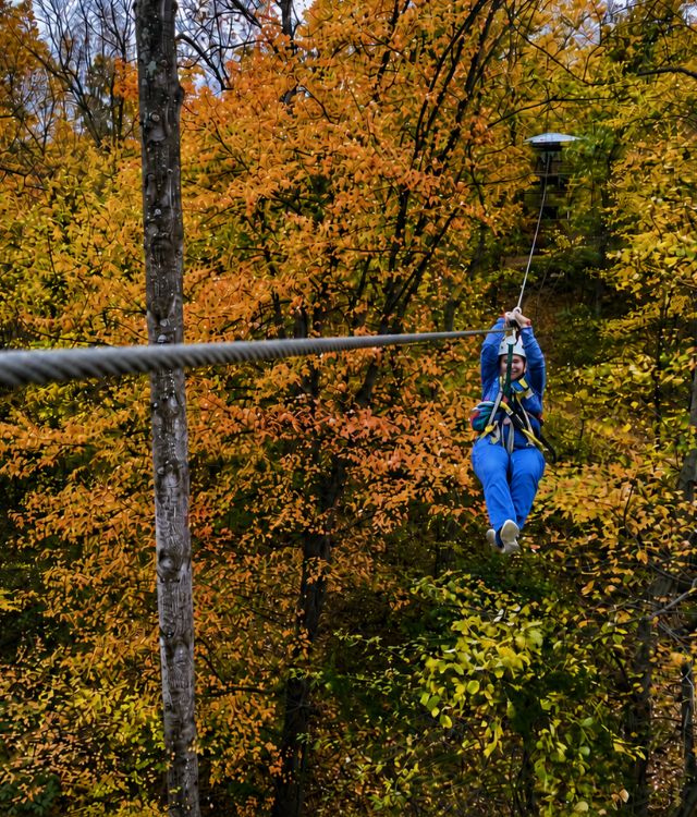 Ziplining at Salamander Middleburg