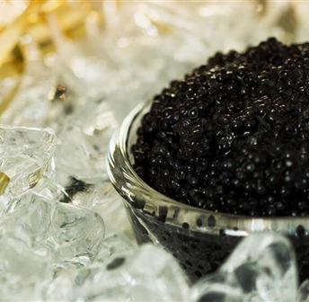 Cooking Demo: Holiday Hors D'Oeuvres!