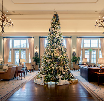 Salamander Tree Lighting