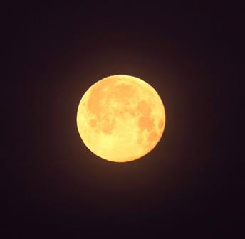 Soar Under the Stars: Full Moon Night Zip Tour: Wolf Moon