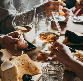 Salamander Uncorked: Wines from South Africa