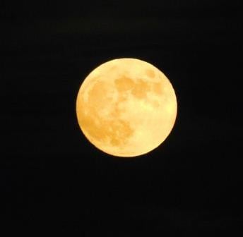 Full Moon Zip Tour: Beaver Moon