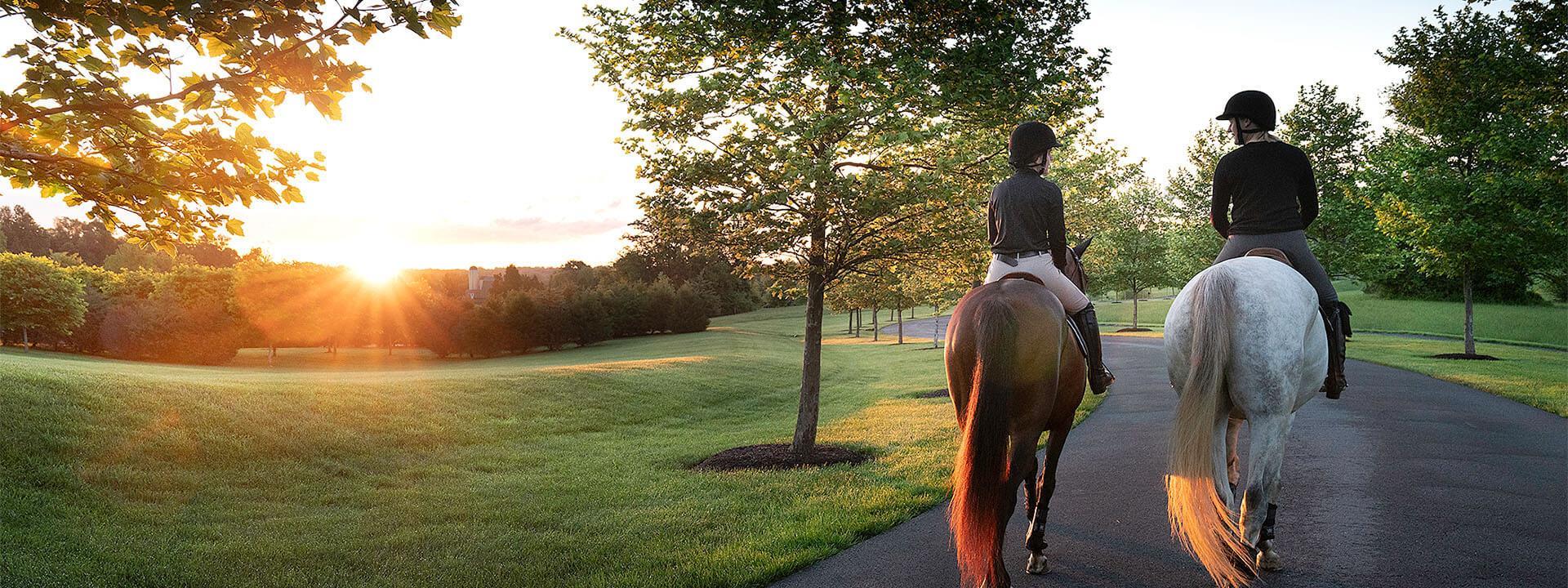 two people riding horses down the street