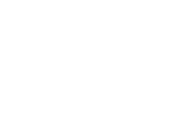 Salamander Spa Middleburg with intertwined salamanders